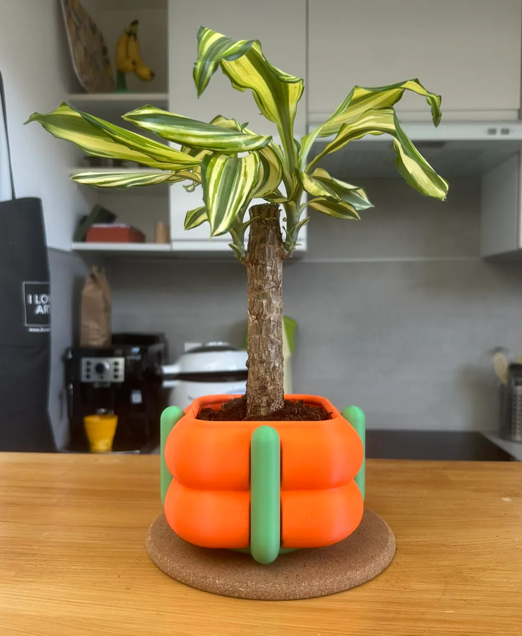 Cache-pot orange aux formes gonflées, tenu par des barrettes vertes, avec une plante