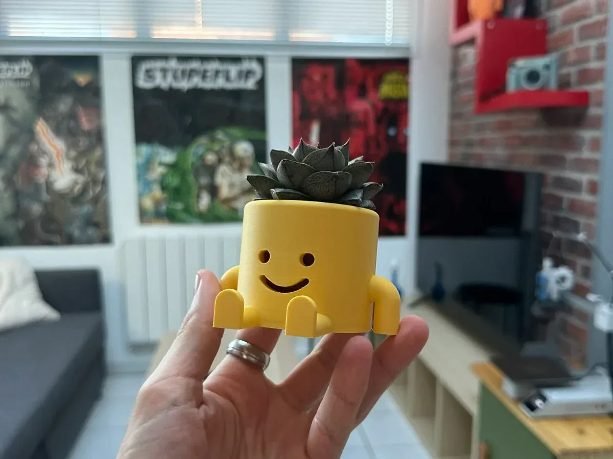 Petit pot jaune au visage souriant, une succulente plantée dedans, tenu dans la main